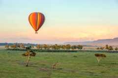 Mara Engai Wilderness Lodge